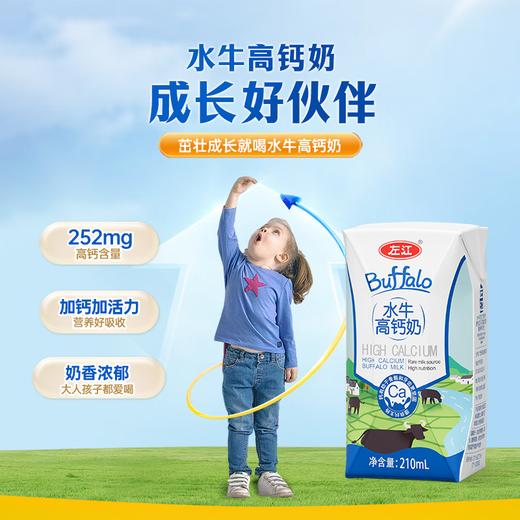 【分仓直发包邮】左江水牛高钙奶210ml*10盒/箱 商品图2