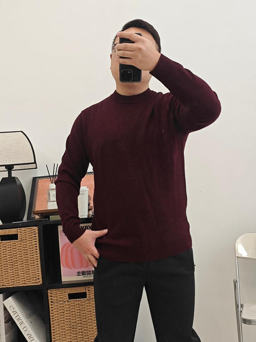 【耐尔】 万金油打底男款羊毛衫 100%绵羊毛让温暖加倍 商品图3
