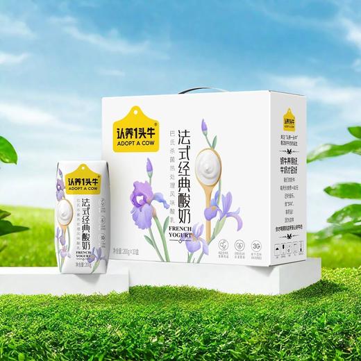 【浓郁浑厚❗️细腻柔滑】法式经典酸奶学生休闲健康早餐搭档酸奶。ja 商品图0