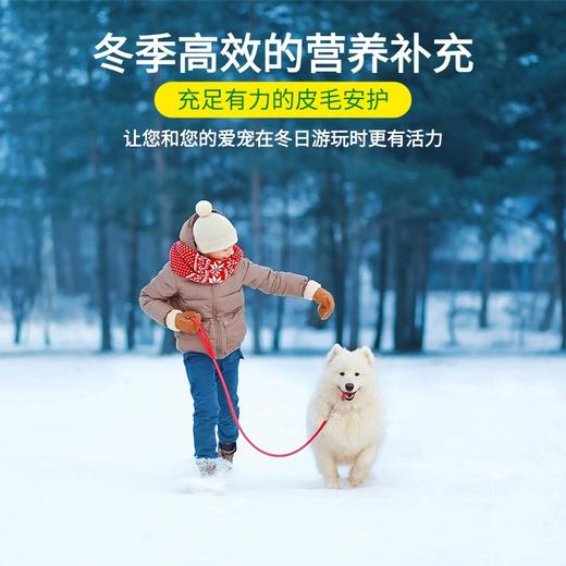 【冬季皮毛活力套装】美毛粉+高龄犬营养粉（两规格） 商品图4