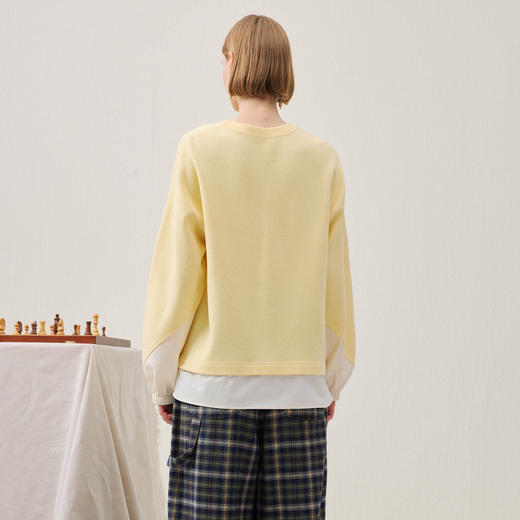 谜底套头针织衫长袖2025年冬季新品立体绣花小鸟设计女254MZ1883 商品图2