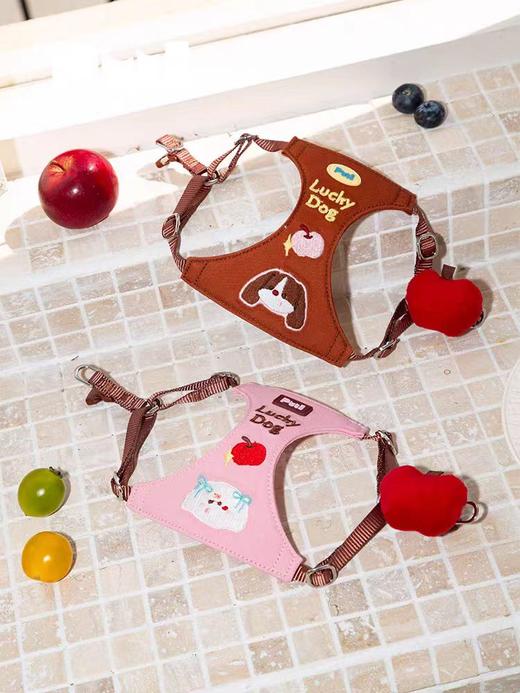 4楼Eubelle欧蓓 puui原创宠物胸背衣狗狗衣服防爆冲 透气胸背带 活动价：168元 商品图2