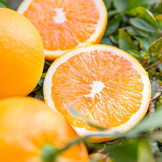 【宜昌助农馆】纽荷尔脐橙新鲜上市  当季新鲜水果香甜多汁 商品图3