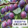 亩育万物--新疆喀什伽师西梅干 商品缩略图3