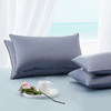 10楼 宜庭 人体工学双核呵护鹅绒枕45*72cm 吊牌价3980元/只  活动价1999元/只 商品缩略图2