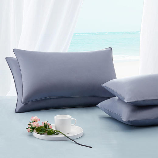 10楼 宜庭 人体工学双核呵护鹅绒枕45*72cm 吊牌价3980元/只  活动价1999元/只 商品图2