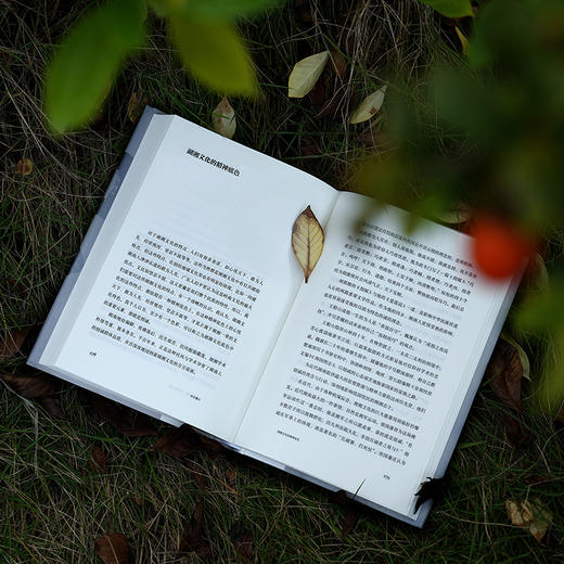 《旧日烟火：静远楼读史》 | 唐浩明全新历史随笔集 商品图6