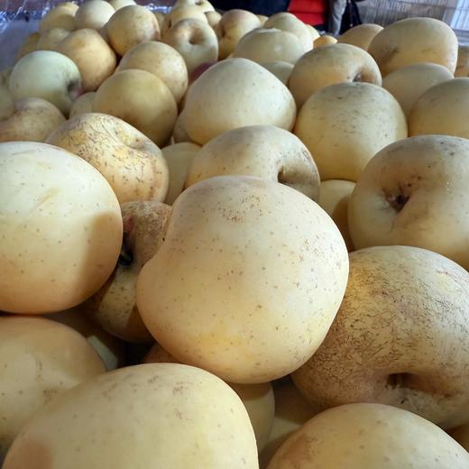 生态黄金富士苹果 | 合作生产 | 基地直发*‌ ‌Golden Fuji Apple‌ 商品图2