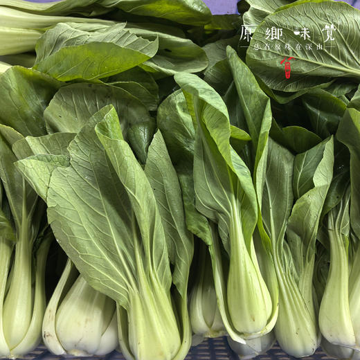 生态酵素蔬菜/豌豆尖/松花菜/莲花白（基地直发-京东包邮）| 多种规格，来自四川绵竹，生产者：熊然【合作生产，公平贸易】 商品图8
