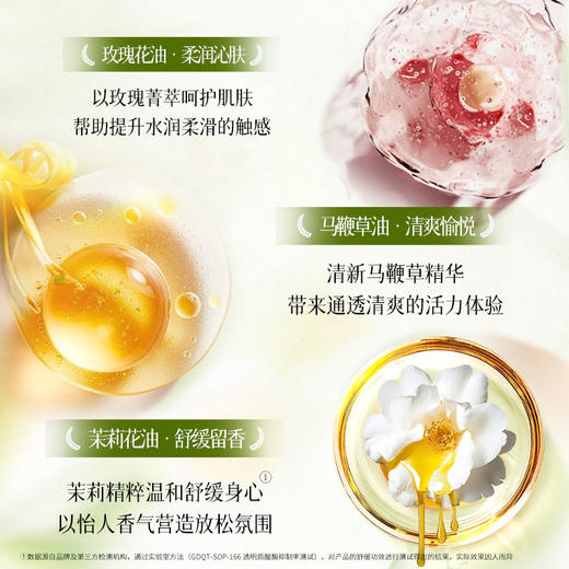 新品上市 卓蓝雅姜山茶语系列精油沐浴露650ml 滋润不假滑 洁净不拔干 商品图4