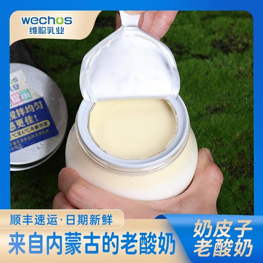 内蒙维聪 奶皮子老酸奶 200g*8罐 商品图2
