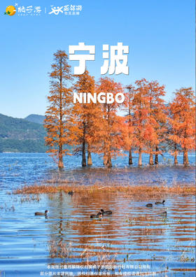 【遇见红杉】 余姚四明湖红杉林+古树群纯玩1日游【中奥宁波】