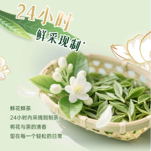 康师傅 茉莉龙井 无糖原味茶350ml（小瓶） 商品图2