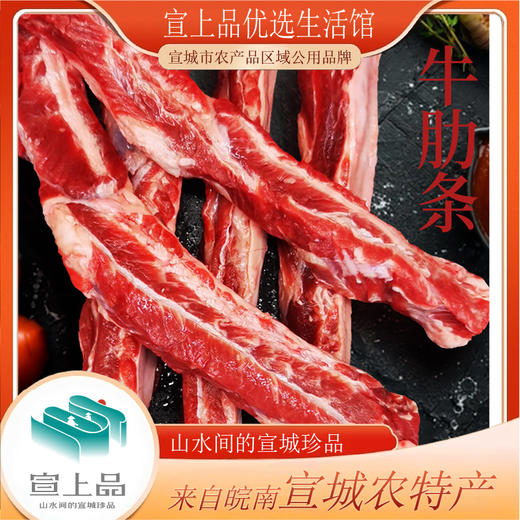 安慕雪·牛肋条1000g   肥瘦相间 软嫩不柴 商品图2