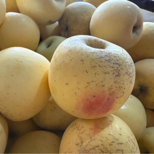 李立君苹果黄金富士丑苹果  烟台栖霞生态种植当季新鲜水果【顺丰包邮】 商品图2