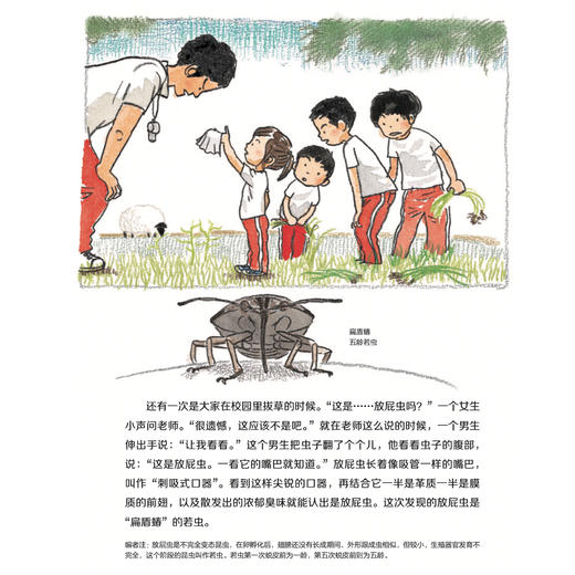 《大科学之友经典科普书:如果我是科学家》（全5册） 商品图5