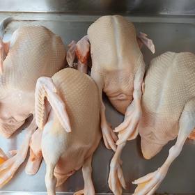 热卖中！！顺丰发货！【CCTV采访 真助农真品质】狼牙山农家散养生态珍禽（鸡鸭鹅）现宰现杀