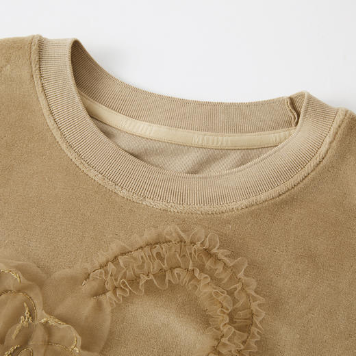 谜底短款卫衣长袖2025年冬季新品软糯斑驳绣花微落肩女254MV1502 商品图3