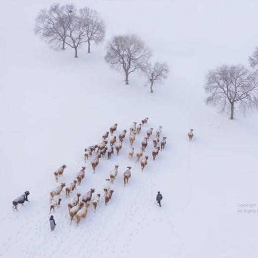 美宿丨冬韵牧歌·乌兰布统6天5晚 商品图8