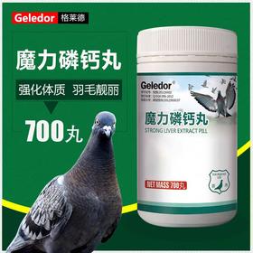 【魔力磷钙丸】强肌壮骨亮羽（格莱德）