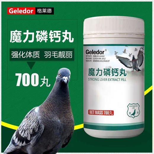 【魔力磷钙丸】强肌壮骨亮羽（格莱德） 商品图0