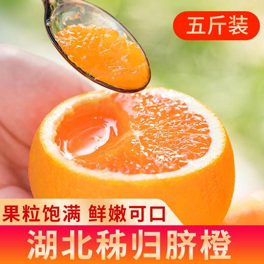【宜昌助农馆】纽荷尔脐橙新鲜上市  当季新鲜水果香甜多汁 商品图0