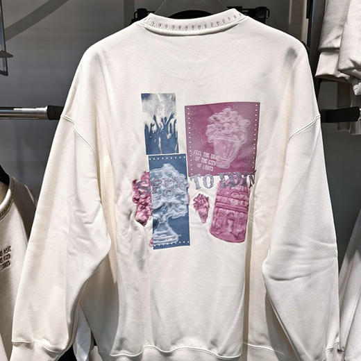 【L/XL断码，无货退款】安踏冬季保暖加绒圆领上衣女新款宽松潮流印花套头卫衣162448717N 商品图3