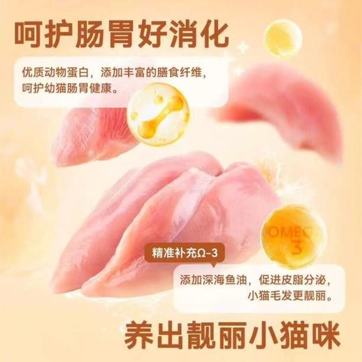 顽皮全价成猫粮500g/袋 商品图3