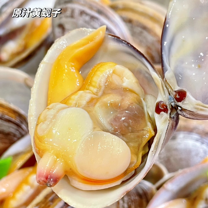 鲜活黄蚬子，鲜甜，无沙，个头大，约2斤/份，