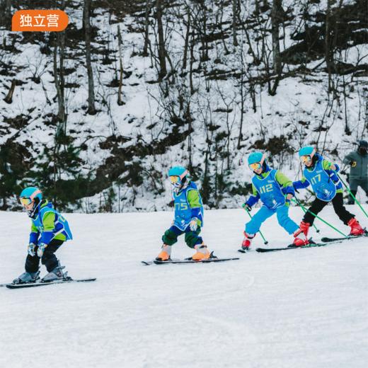 寒假独立营｜企鹅滑雪入门营1日营·2026冬令营 商品图0