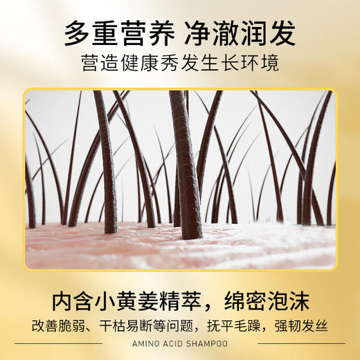 【分仓直发包邮】LK生姜防断强韧多效洗发水500g 商品图6