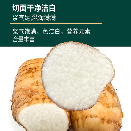 【官方正品】云南白药鲜品季昭通小草坝新鲜乌天麻1000g礼盒当季采挖营养丰富 商品图2