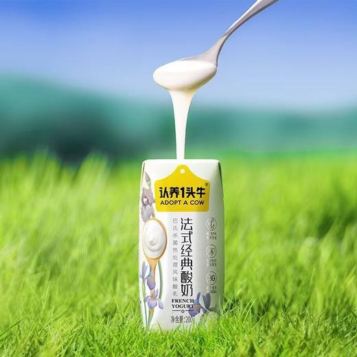 【浓郁浑厚❗️细腻柔滑】法式经典酸奶学生休闲健康早餐搭档酸奶。ja 商品图1