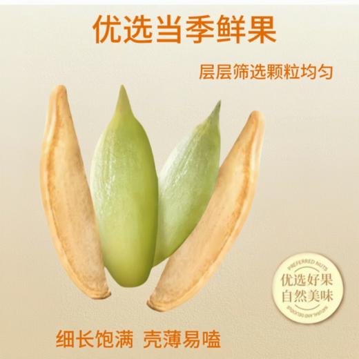 南瓜子美人甲瓜子大颗粒炒货长颗粒椒盐原味独立包装休闲零食年货 商品图2