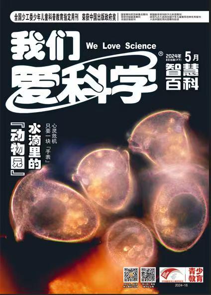 《我们爱科学（少年版）》| 2-155 | 月刊 | 2026年全年订阅（不可退订） 商品图4