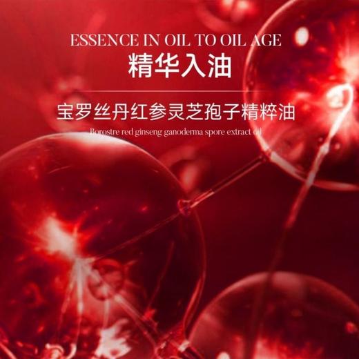 BONOSIDAN红参灵芝孢子精华油 商品图3
