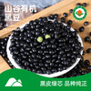 【绿芯有机黑豆】 350g 东北农家有机黑豆 商品缩略图0