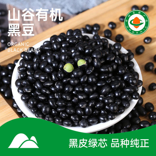 【绿芯有机黑豆】 350g 东北农家有机黑豆 商品图0
