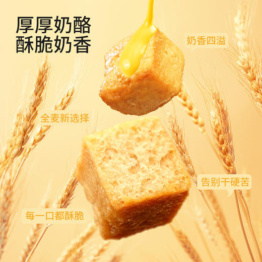 食验室厚厚奶酪全麦面包丁早餐牛奶搭档 商品图0