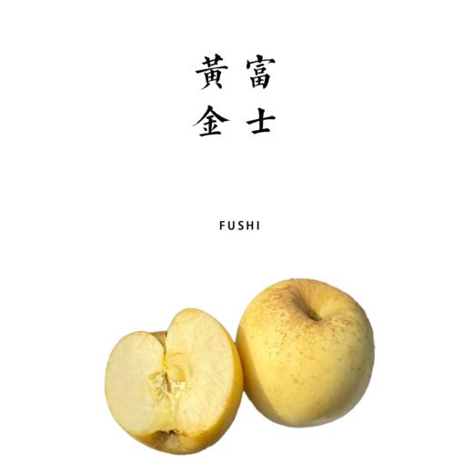 黄金富士苹果瑕疵果4.3斤【基地直发】产地：山东烟台 商品图0