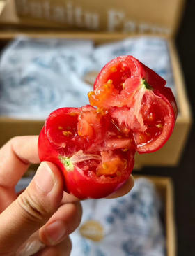 水果番茄哪家强❓ 钱袋番茄当NO1
钱袋番茄，口味脆爽甘甜，番茄味浓郁，汁水多，西红柿味道超级浓郁，番茄中的天花板。3-3.5斤