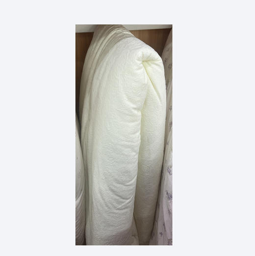 雅鹿雕花绒玻尿酸冬被YLB6217  2*2.3m 商品图0