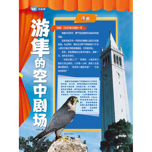 《小哥白尼》（军事科学/趣味科学/野生动物）12期征订（共12本） 商品图13