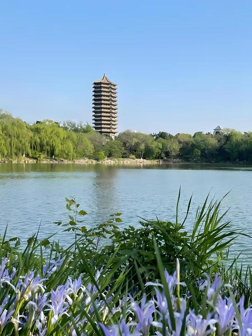 【北京清华门票】每天限额预约/参观攻略/北京旅游 商品图7