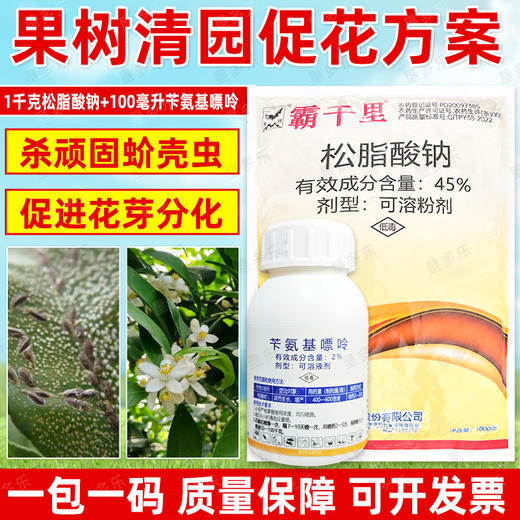 清园促花套餐大鹏松脂酸钠苄氨基嘌呤果园促花清园宝介壳虫专用 商品图2