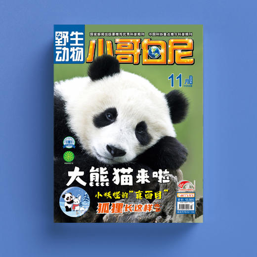 《小哥白尼》（军事科学/趣味科学/野生动物）12期征订（共12本） 商品图11