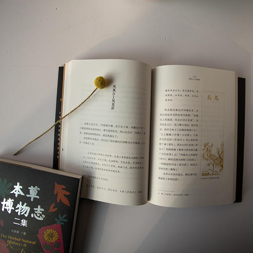 本草博物志二集 商品图2