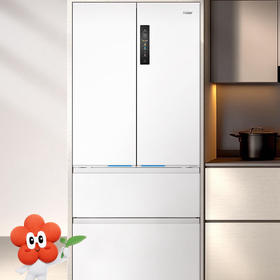 海尔（Haier）冰箱 BCD-503WGHFD14GYU1（白）
