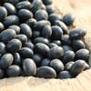 【绿芯有机黑豆】 350g 东北农家有机黑豆 商品缩略图3