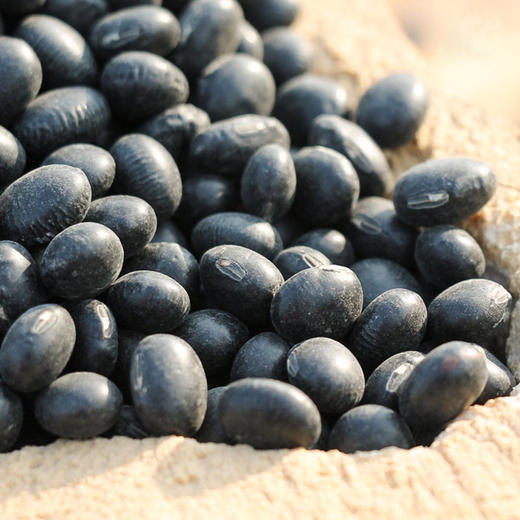 【绿芯有机黑豆】 350g 东北农家有机黑豆 商品图3